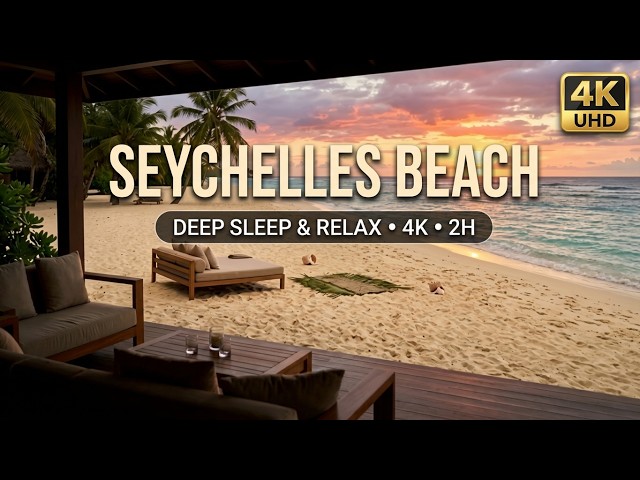 4K Seychelles Paradise Silhouette & Praslin Island 🌅 Paradise Beach 2H🌴
