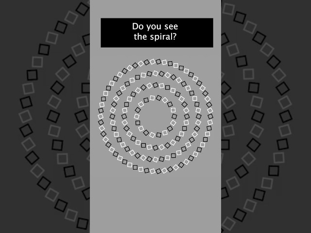Spiral of Circles #opticalillusion #illusion #mindblowingfacts #computationalart