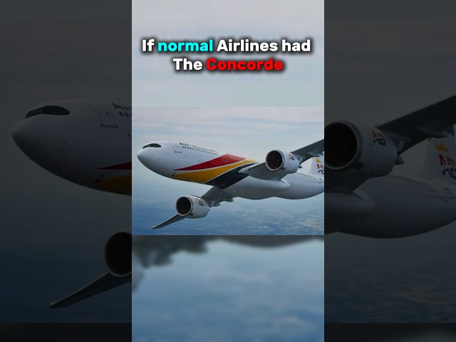 If normal Airlines had The Concorde #shorts #aviation #airplane #concorde #airlines #edit #fyp