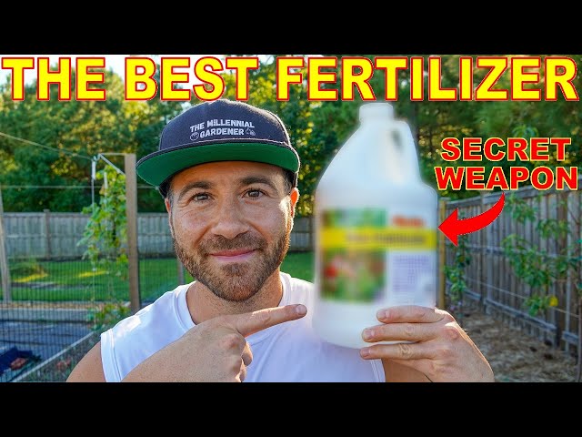 This Fertilizer Is My SECRET WEAPON For A Healthy Productive Garden!