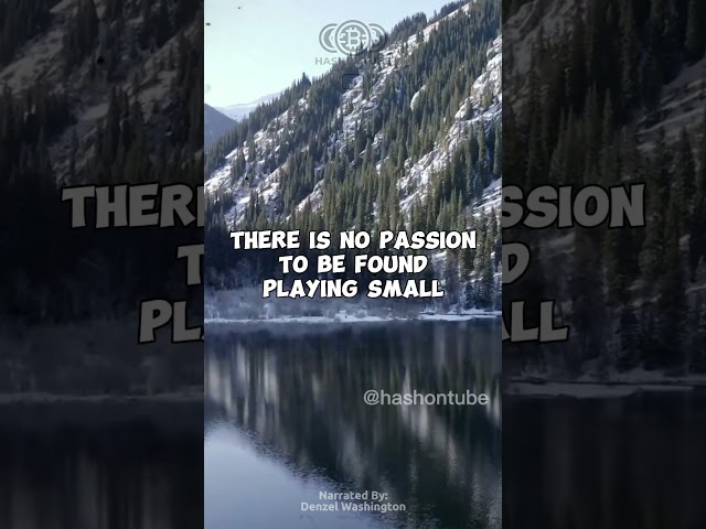 Taking Risks - Crypto Mining Motivation