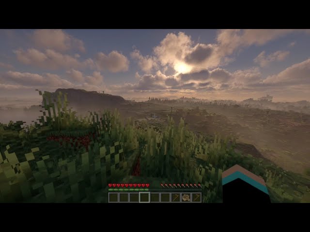 Minecraft Java.