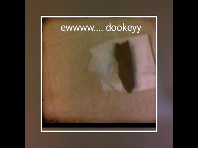 Dookey prank on mom (Gone wrong)