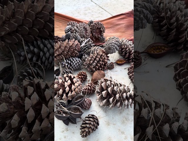 Southern California winter inspired projects