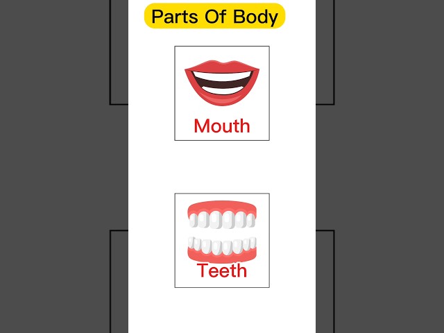 Learn 20 Body Parts in English! 🏃‍♂️👀👂 #KidsLearning #BodyParts #EnglishForKids
