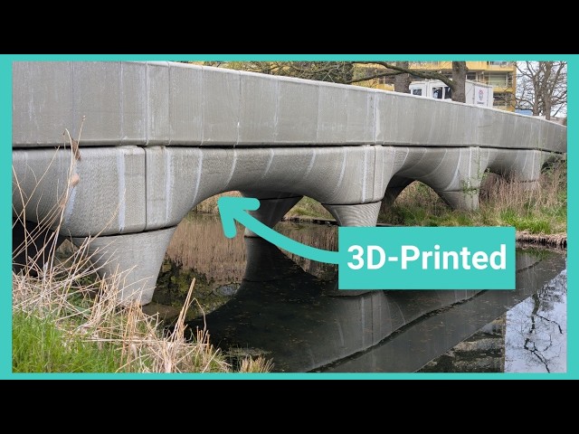 This Bridge Was 3D-Printed