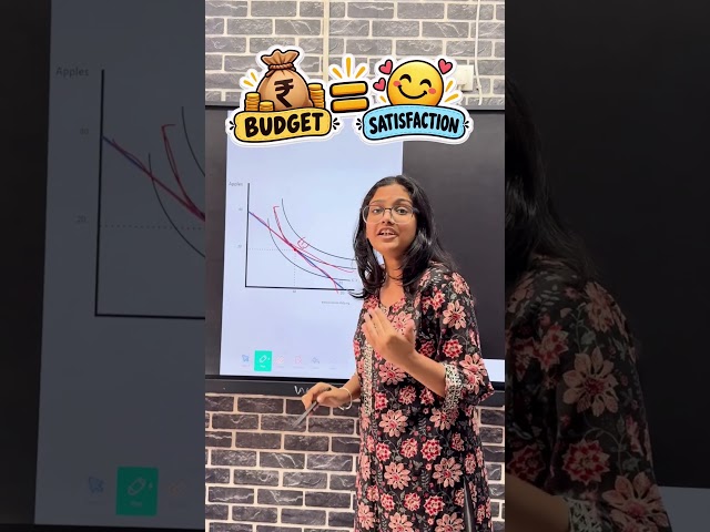 When the Budget Line Meets the Indifference Curve