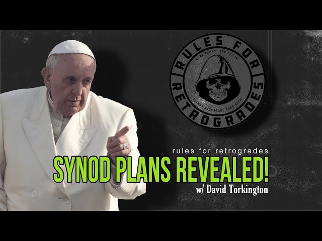 Synod Plans for 2024 Revealed!! w/ David Torkington