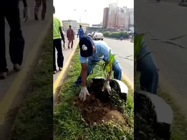 Carbon Offset Project