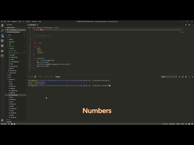 Hands-On System Programming with Go | 16. Using CGO