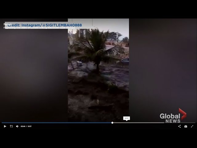 *Tsunami Hits Indonesia-Video*Karangetang Volcano Increase Activity*250 Cows Die Suddenly India*