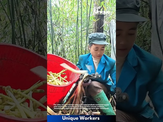 Agricultural Processing: Worker Using Portable Machine to Peel Bamboo Shoots