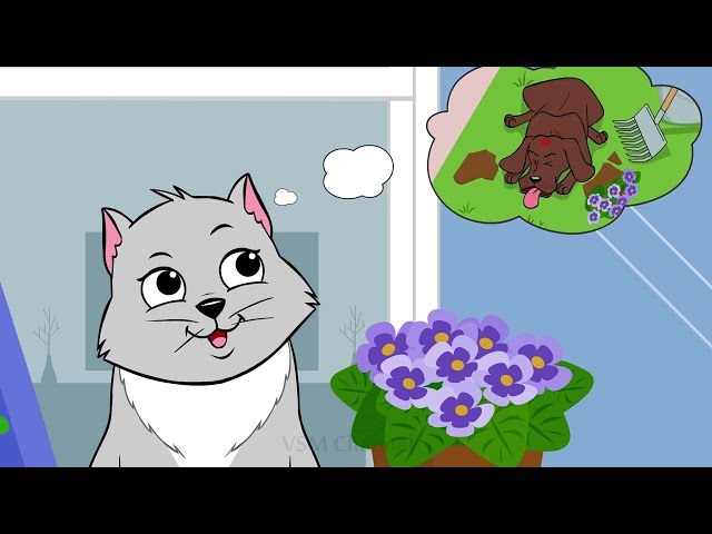So Sad Kitty / Funny Animated short / VSM Channel