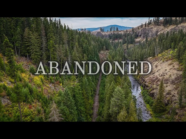 I Followed An Abandoned Railroad That Took Me To Century Old Train Cars Left In The River
