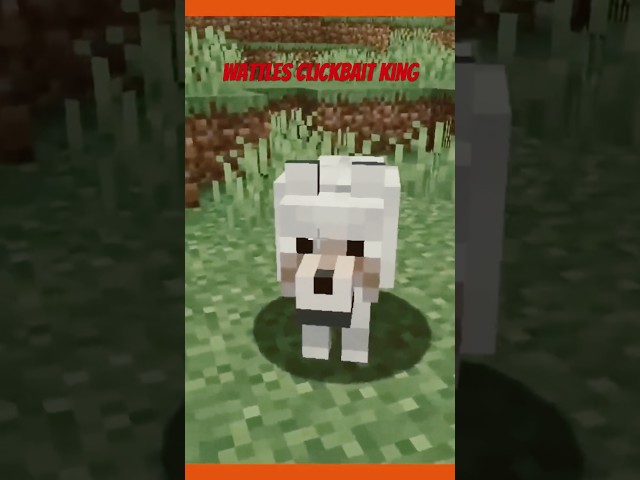 Wattles is a clickbait king #minecraft