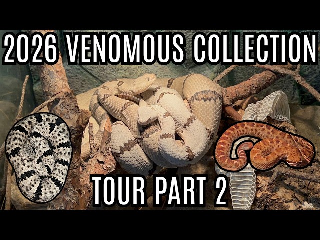 2026 Venomous Collection Tour Part 2!!