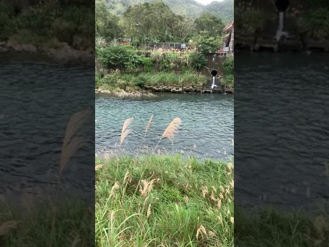 坪林Pinglin