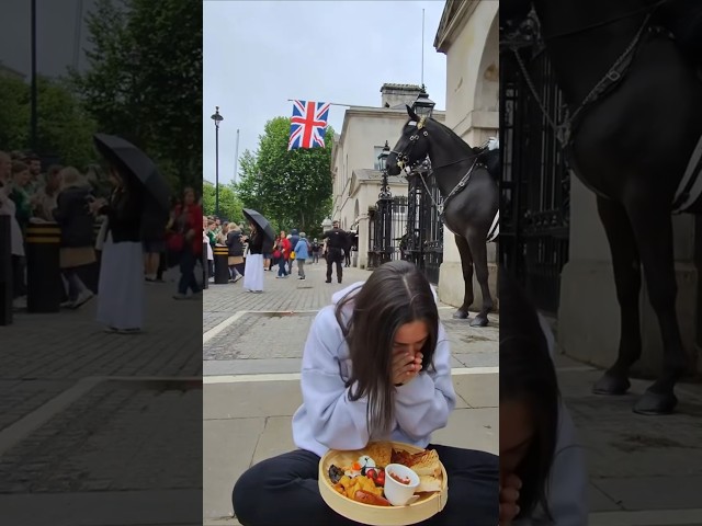 British Lady REACTS To American Influencer Disrespecting The King's Guard #royalfamily #shorts