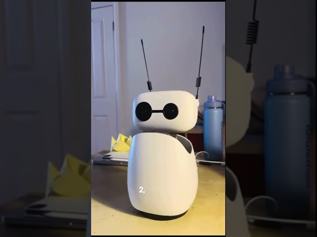 Ritchie Minnie: The AI Robot Trained by Our Leading Coding Student