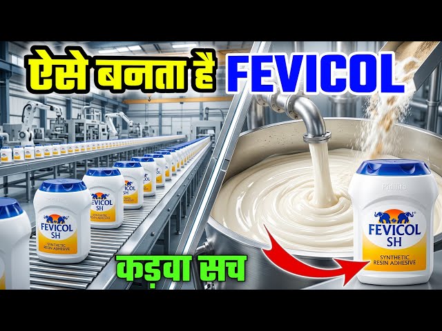 फैक्ट्री में Fevicol कैसे बनता है? 😳 | Fevicol Manufacturing Process in Hindi