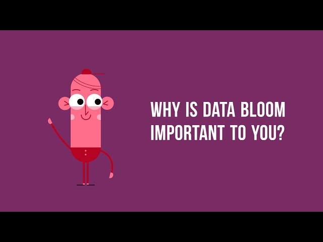 Data Bloom Introduction