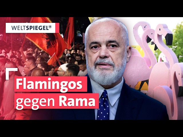 Flamingo-Revolution: Albaniens Aufstand gegen Korruption | Weltspiegel