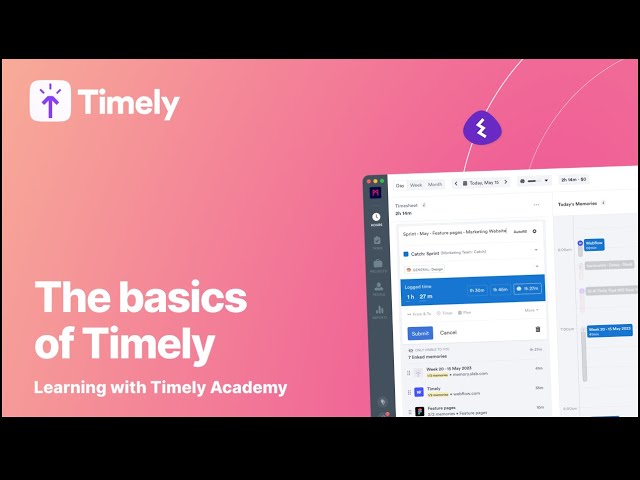 The Basics of Timely