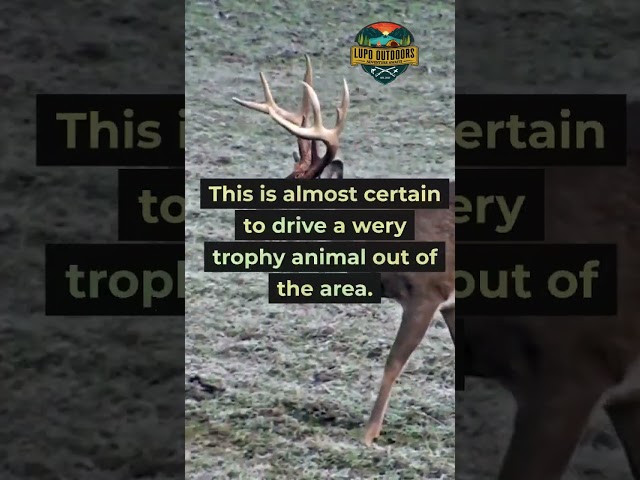 The Biggest Mistake Deer Hunters Make #whitetaildeer #bowhunting #shorts