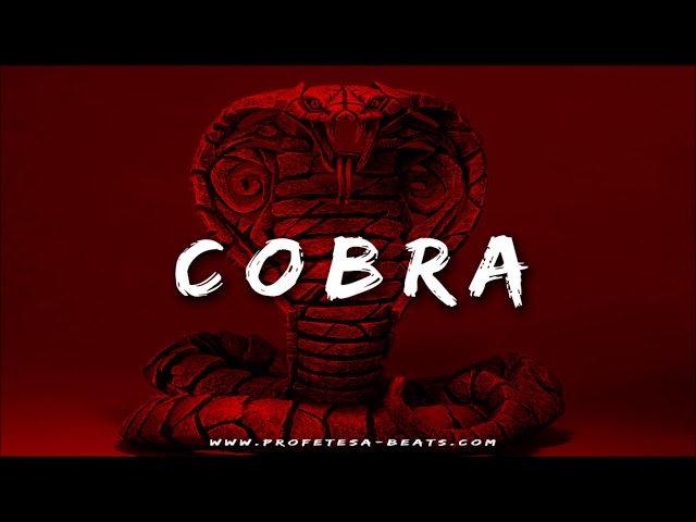 Aggressive Fast Flow Trap Rap Beat Instrumental ''COBRA'' Hard Angry Arab Type Drill Dark Trap Beat