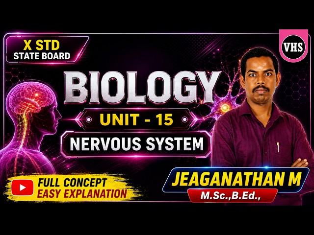 STD Biology | Unit 15 – Nervous System | Full Concept & Easy Explanation | Tamil Nadu State Board