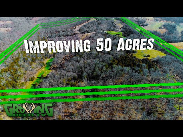 50 Acres: Better Hunting Than the Neighbors (610)