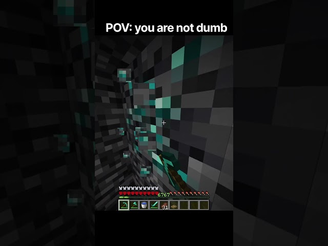 When you are not dumb ☠️