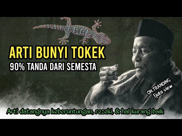 Tanda dari semesta | Arti bunyi tokek datangnya rezeki besar | Primbon jawa