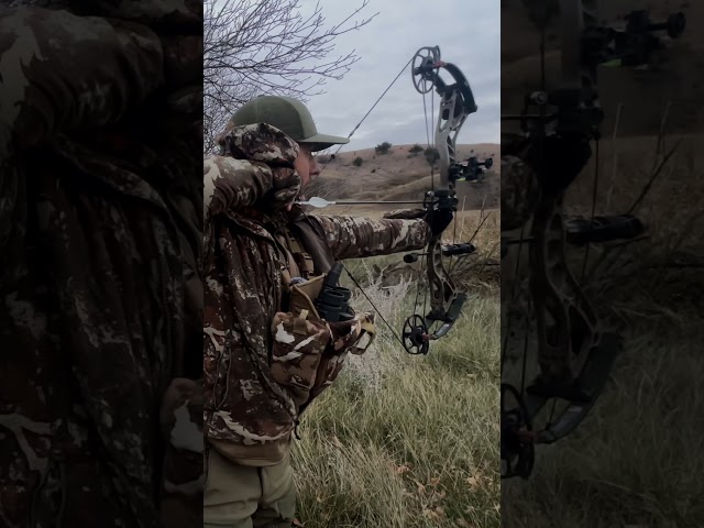 Would you aim different than the shot?