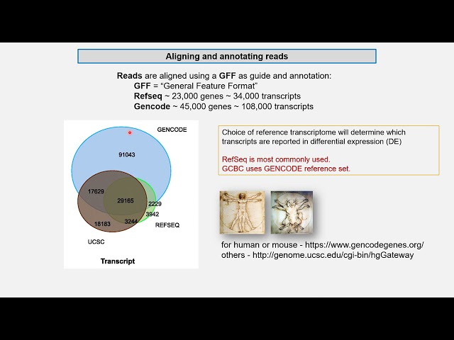 EARssentials 2021: (Brief!) Introduction to Bioinformatics