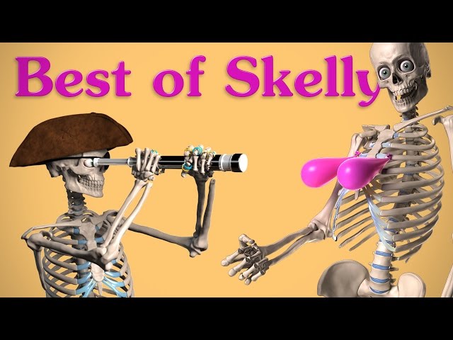 Best of Skelly, 500,000 Subscribers, and 4 Year Birthday WOOHOO!