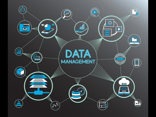 How to Launch a Master Data Management (MDM) Program in 90 Days