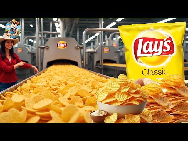 Inside the Lay’s Factory – How Millions of Potato Chips Are Made
