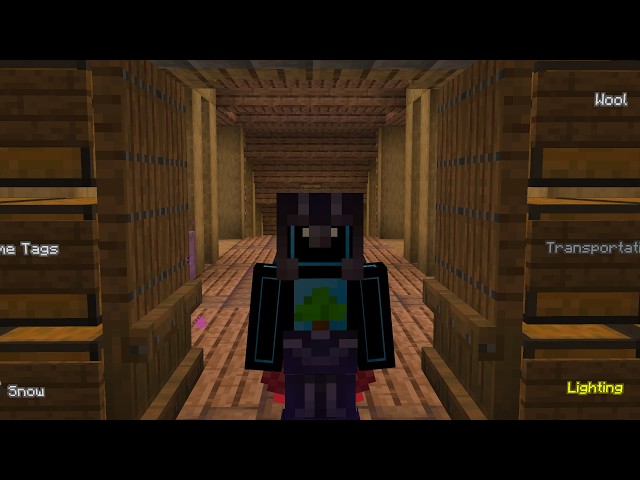 Playing on my 5 year old Minecraft world