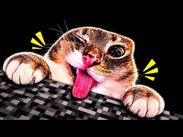 Minecraft with Cats | New Part