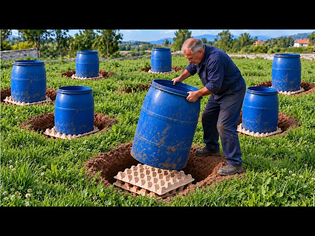 A brilliant invention by a 60-year-old plumber! Free Recycling Ideas from egg trays, empty barrels
