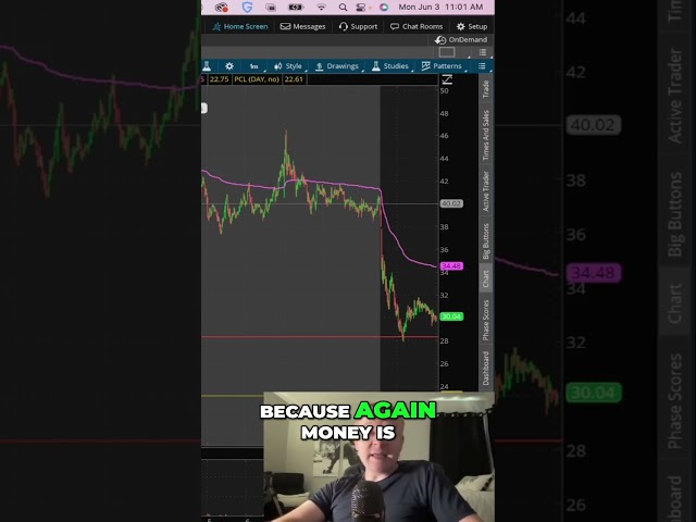Roaring Kitty: Resurrecting the Stock Market with Excitement