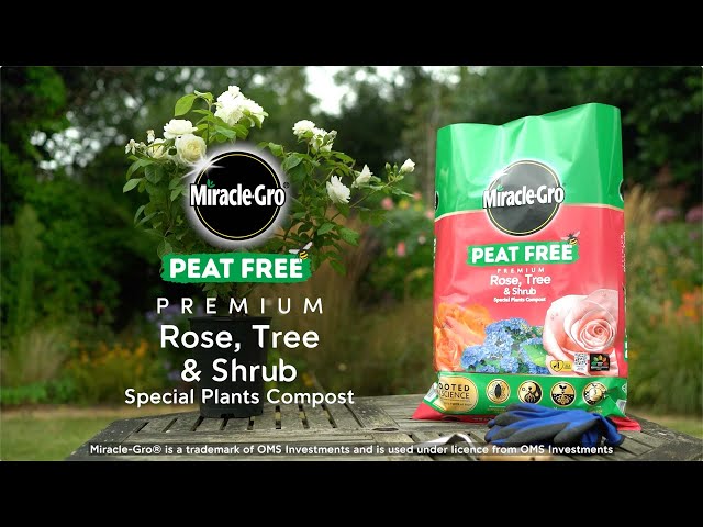 Miracle-Gro® Peat Free Compost for Roses, Trees & Shrubs | Healthy Growth & Root Strength