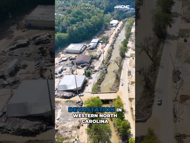 Fish showing signs of recovery after dam damaged by Hurricane Helene