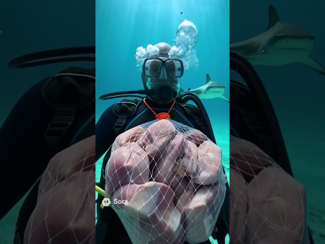 More Dangerous than diving with sharks