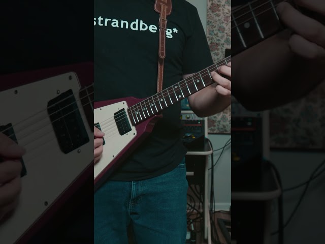 Flying V’s are a vibe #guitar #flyingv #ibanez #ibanezguitars #guitarsolo