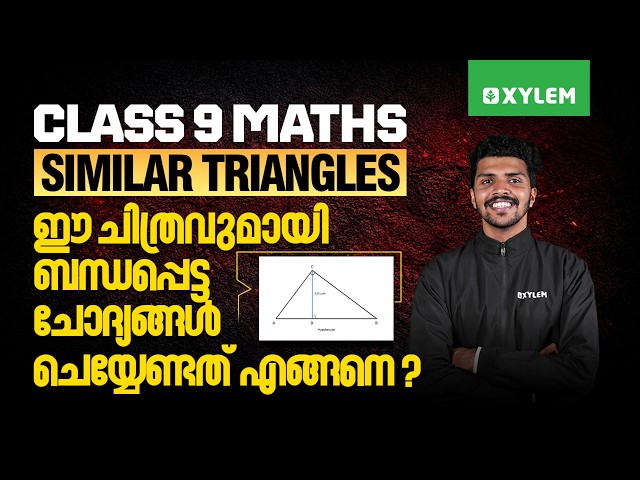 Class 9 Maths | Similar Triangles - ഈ ചിത്രവുമായ് ബന്ധപ്പെട്ട ചോദ്യങ്ങൾ ചെയ്യേണ്ടത് എങ്ങനെ?