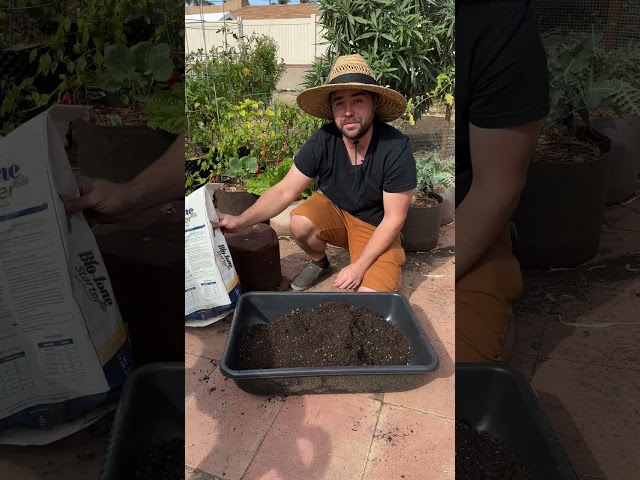 Don't Make This Container Mistake!
