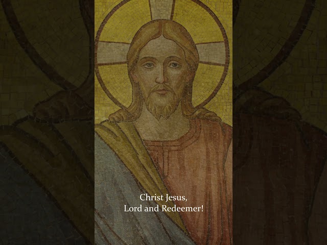 To Jesus Christ Our Sovereign King | Christ the King #shorts #catholic #jesus #jesuschrist