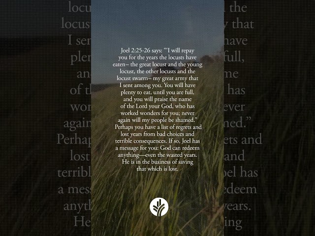 Nothing Is Too Wasted for God to Restore